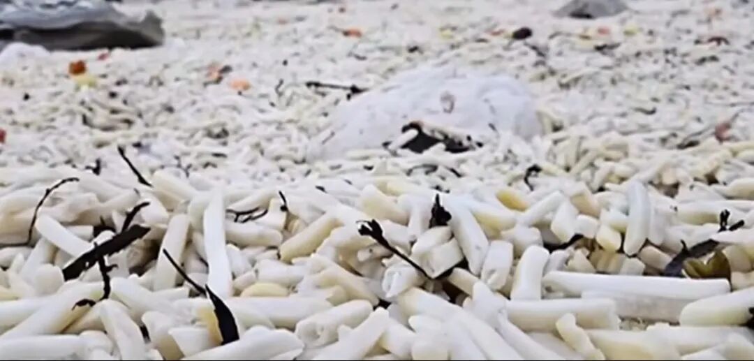 英国海滩现罕见景象：数千袋薯条被冲上岸，部分区域堆积超半米