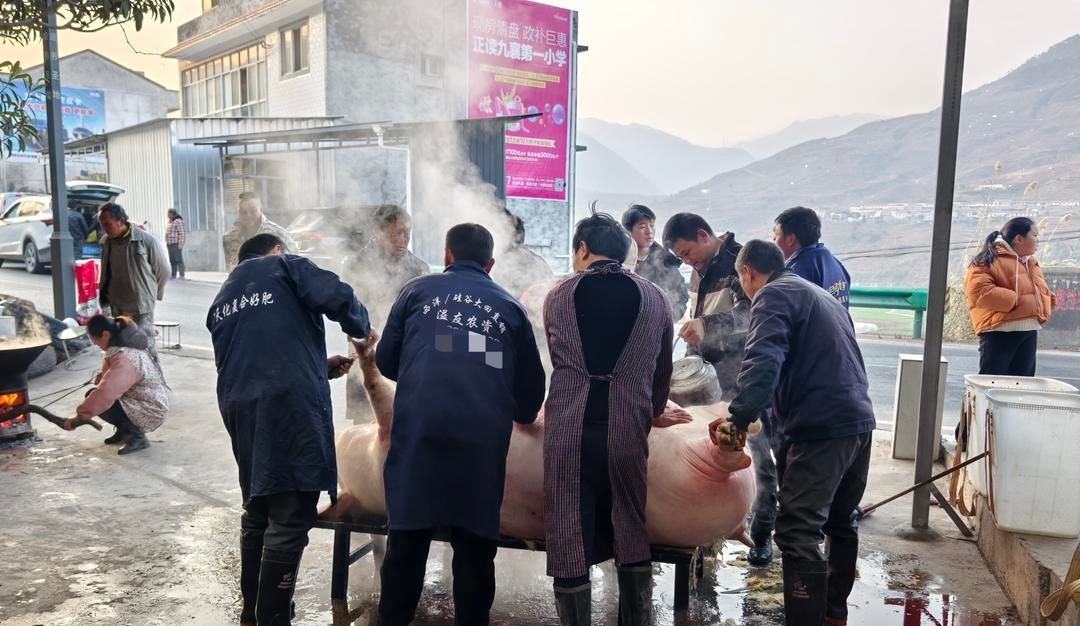 “刨猪汤”火上热搜，杀猪匠、民俗专家揭秘：年味是怎么“刨”出来的？