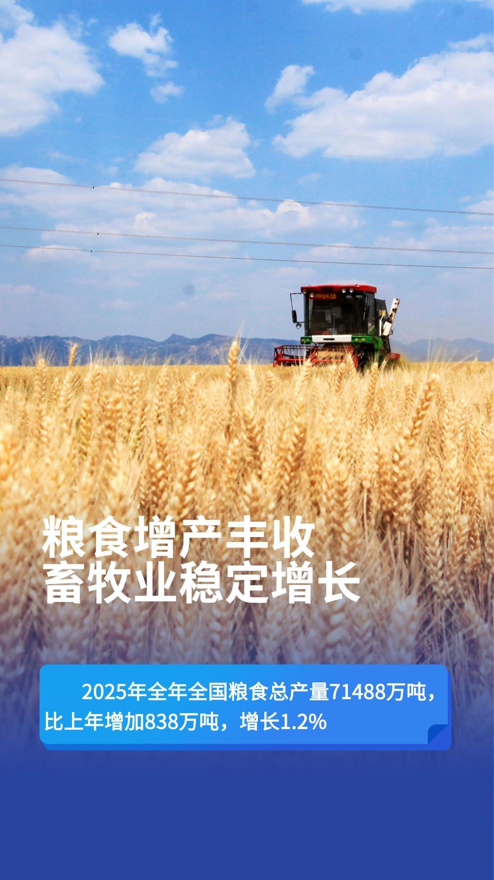 数览2025“年报”｜向新向优，中国经济向好