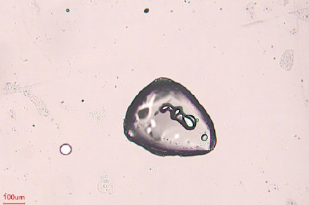 显微镜下，雪花原来长这样！