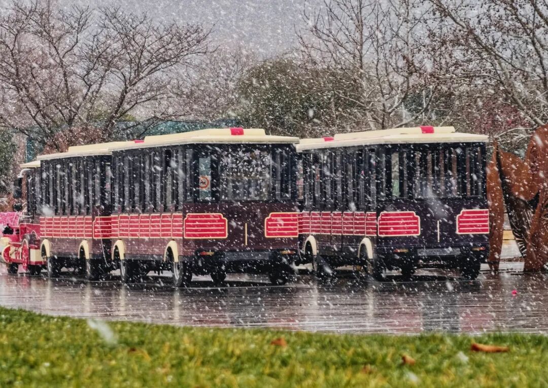 上海全城追雪！朋友圈和校园里彻底沸腾！零下6℃要来了，赏雪打卡还有机会