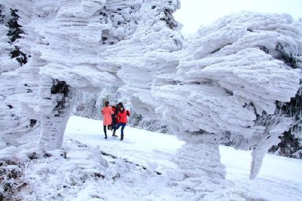 降温预警！桂林资源县雾凇盛宴即将来袭，这份观赏攻略请收好