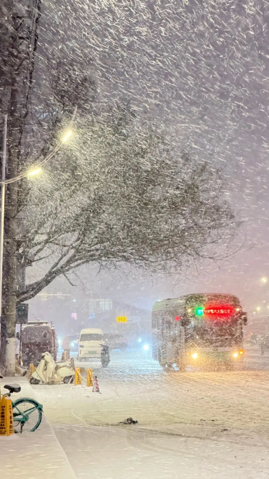 这场雪，真猛！未来三天河南持续低温