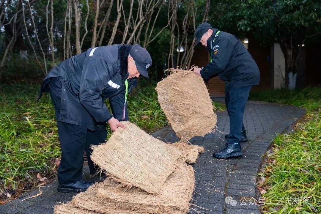 江苏，下了一夜的雪！