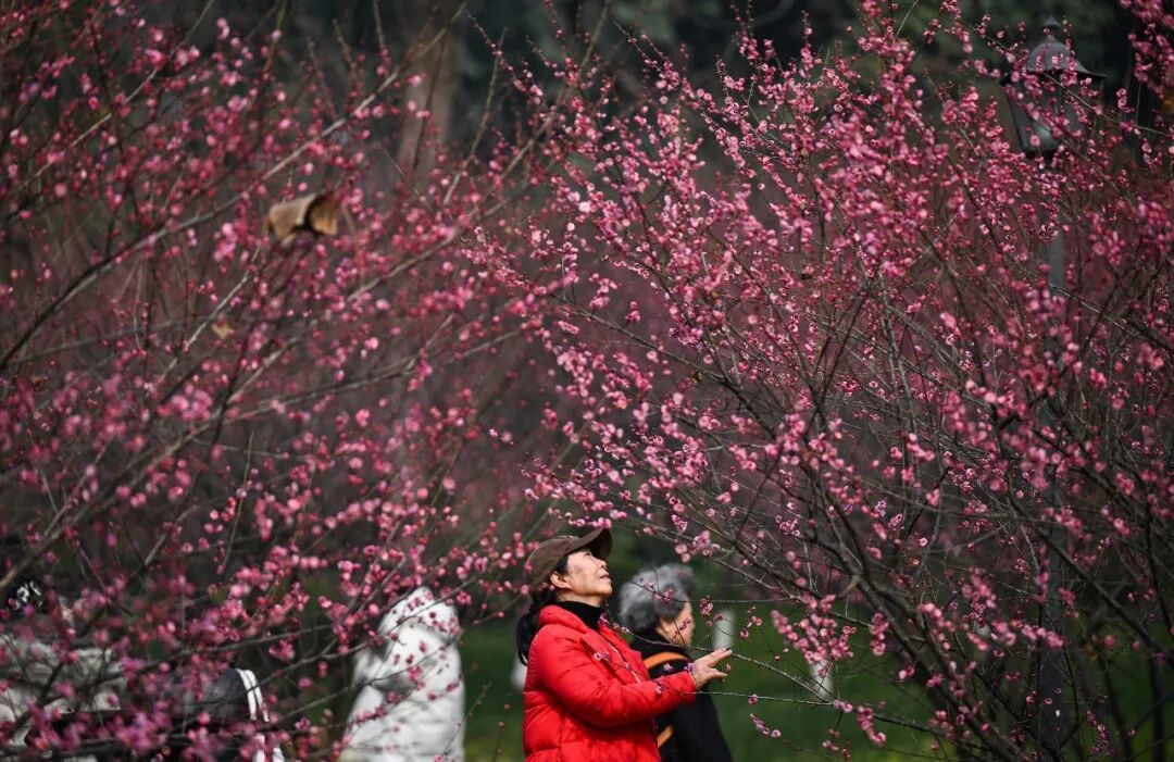 今日大寒：冬将尽，春可期
