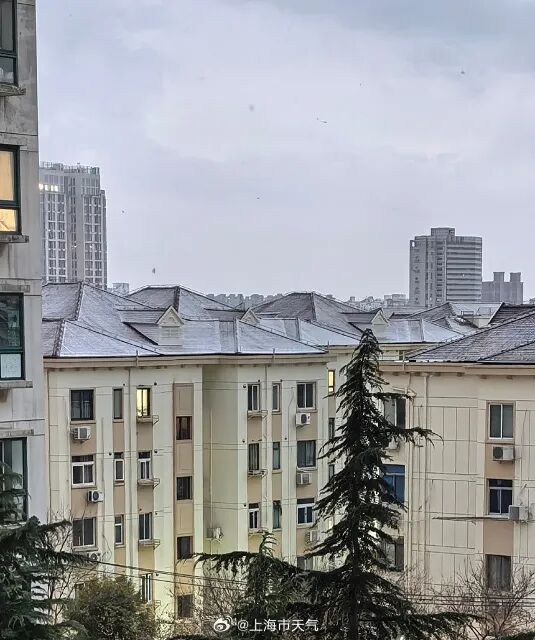一觉醒来，上海下雪了！全市高挂蓝色预警
