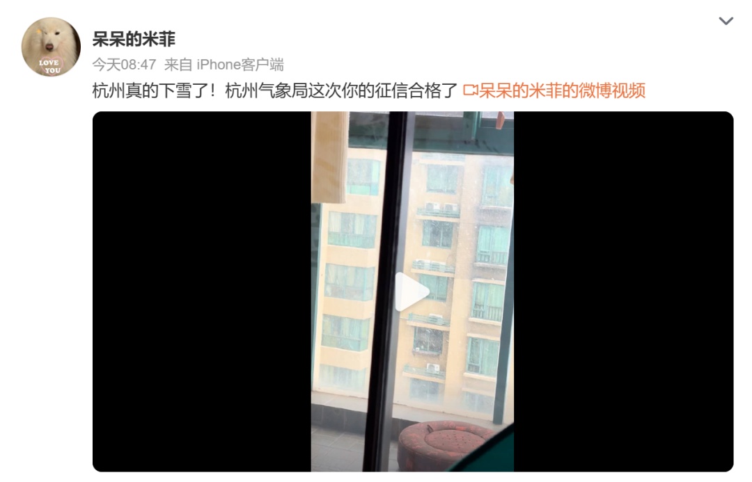 浙江人的朋友圈被雪景刷屏！网友：气象局恢复征信；医生提醒：企鹅步，走起来