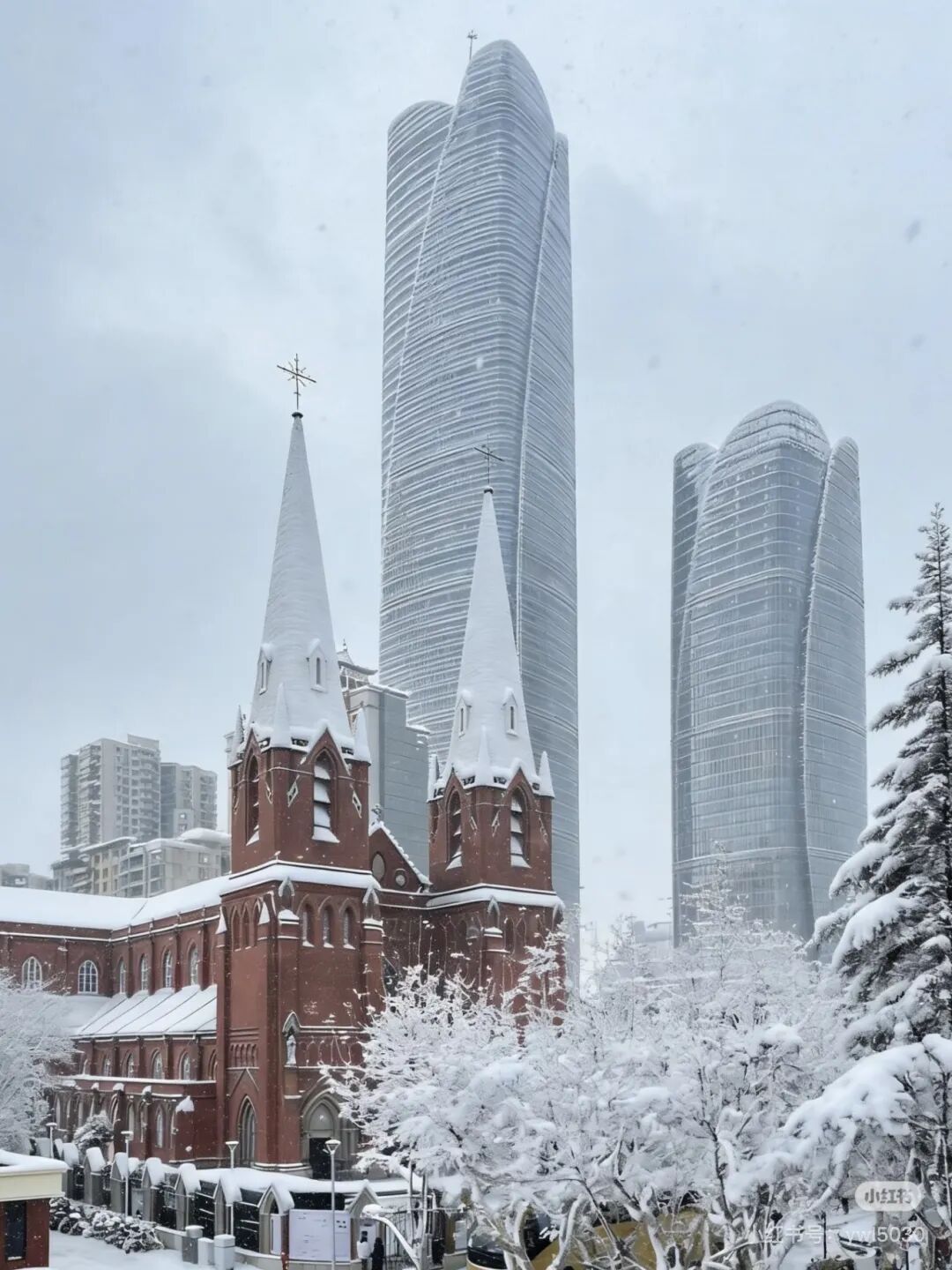上海下雪了！市区即将-1℃，全市高挂蓝色预警，低温天气一直持续到……