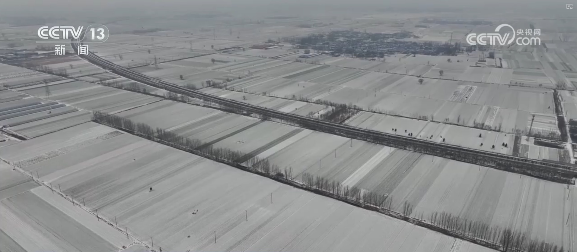 多措并举应对寒潮低温天气 各地保障蔬菜生产守护百姓“菜篮子”