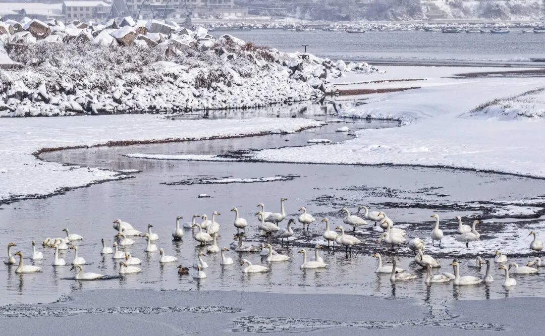 今日大寒：冬将尽，春可期