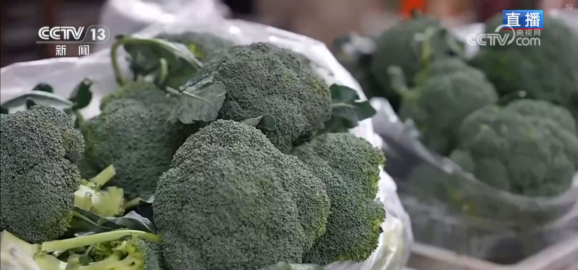 集市人气旺、年宵花争艳 “年货消费”活力充沛激发经济增长新动能