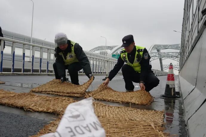 早高峰的街头巷尾，我们要“曝光”这群小绿人！