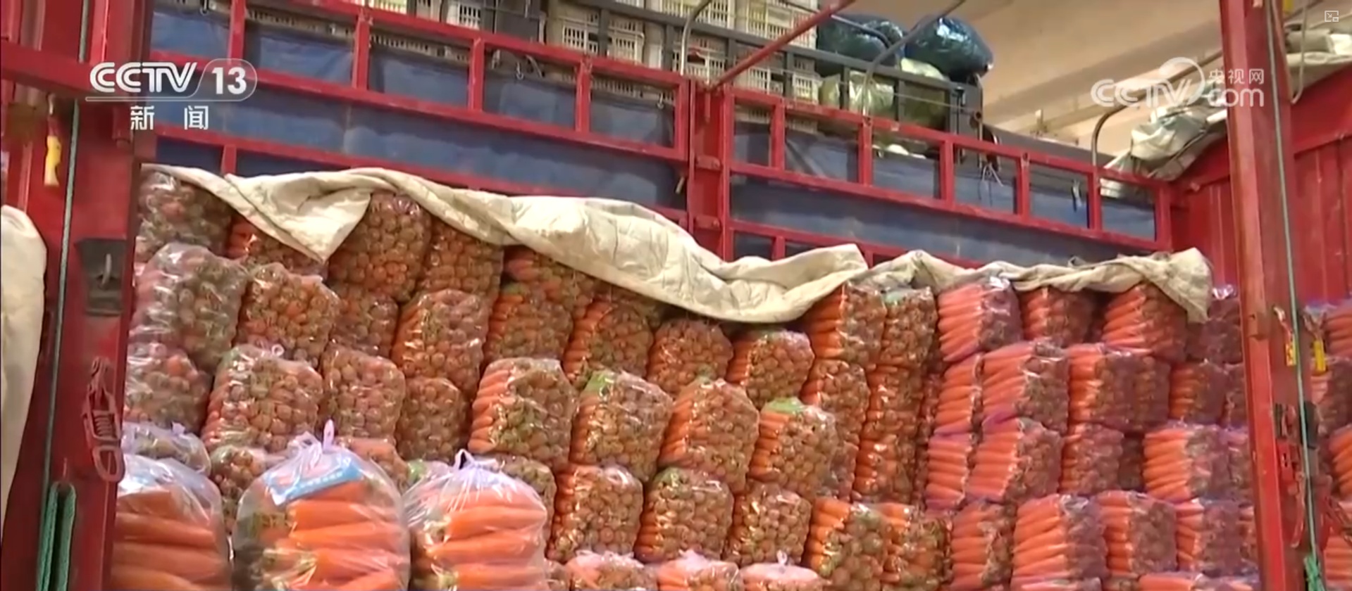 多措并举应对寒潮低温天气 各地保障蔬菜生产守护百姓“菜篮子”