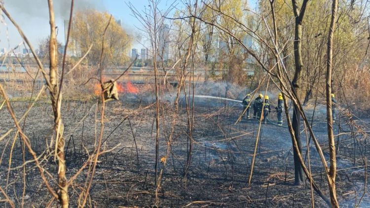 男子随手一个动作，把自己送进拘留所10天