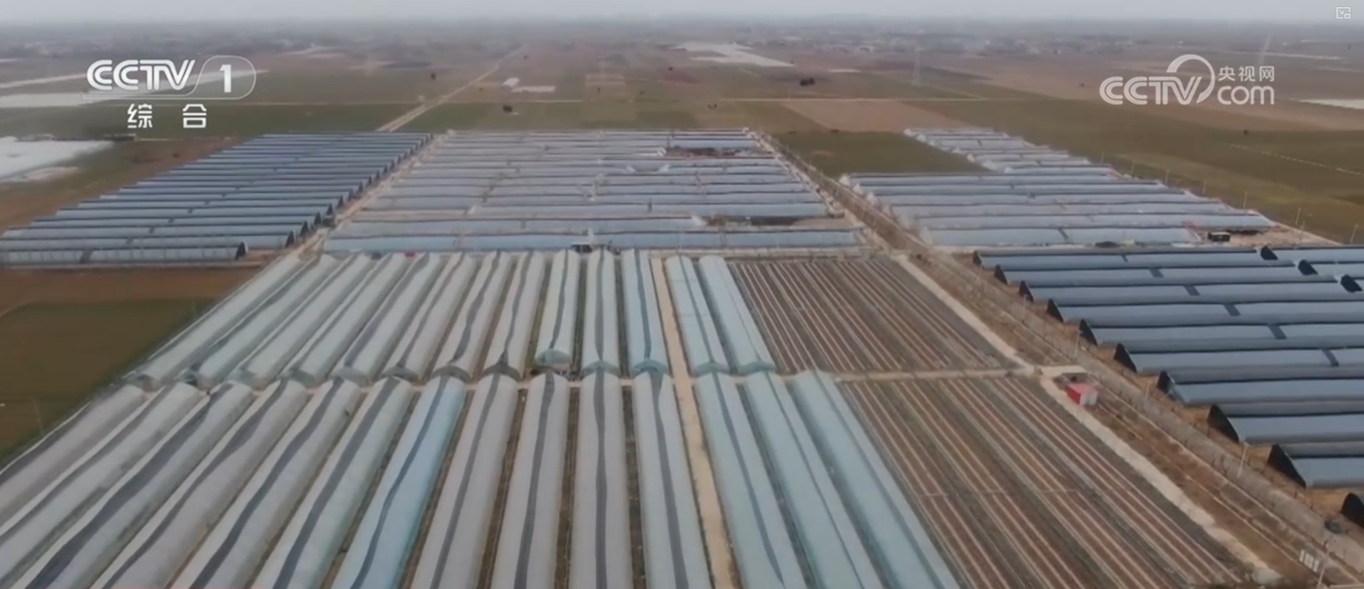 组建志愿服务队、开设爱心驿站……多地多部门迎“寒”而上保畅通保生产