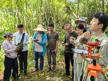 海南首次林草种质资源普查到3101种林草植物