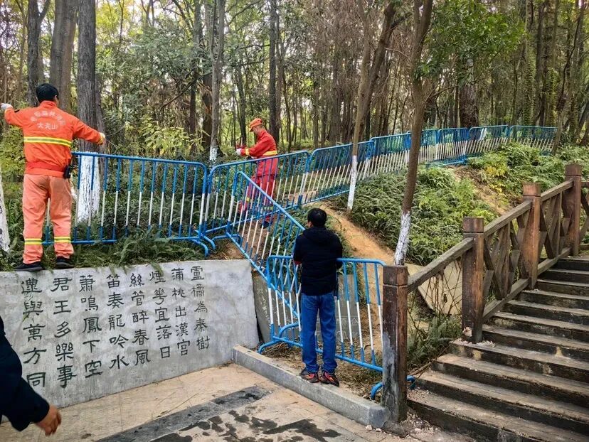 马年“画马”路线被叫停后，官方再出手！