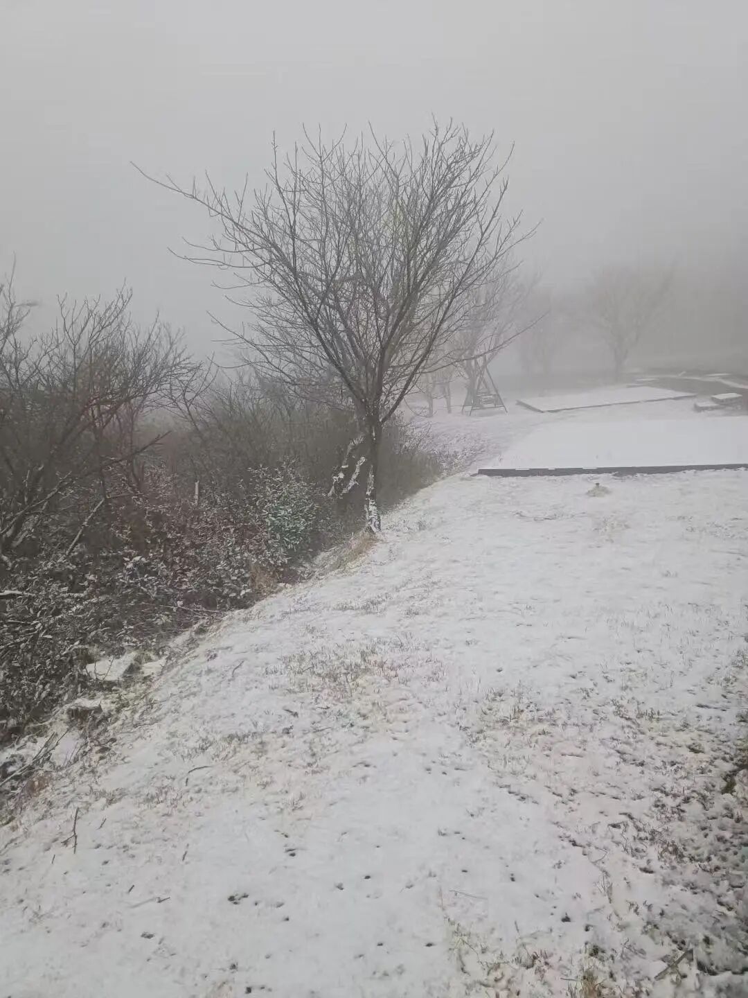 宁波下雪啦！ 这些易结冰路段出行注意！