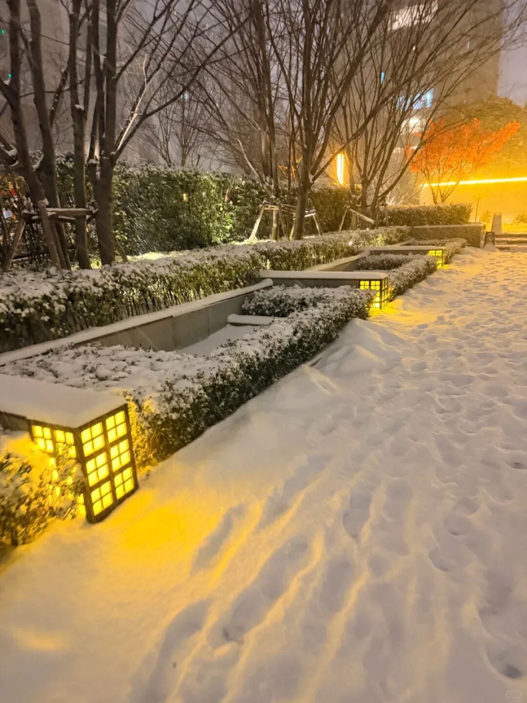 这场雪，真猛！未来三天河南持续低温