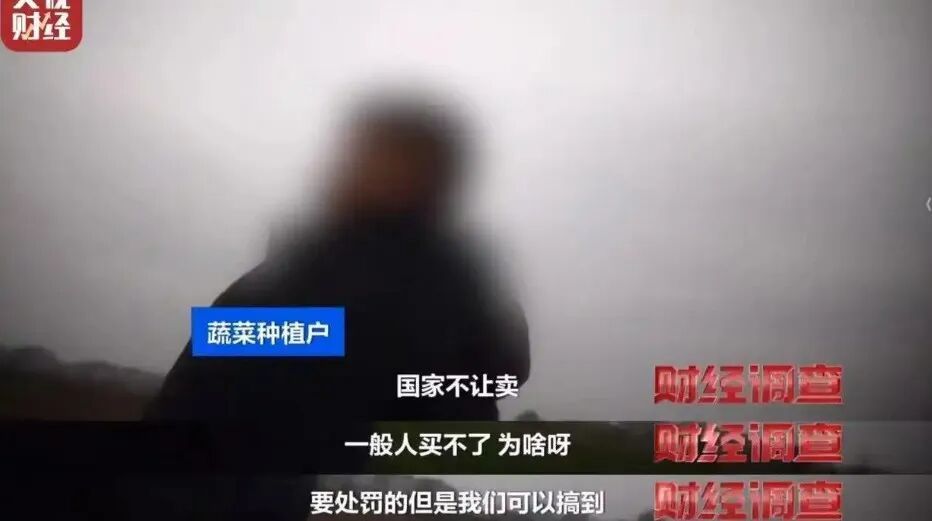 湖北天门通报“个别菜商违规使用含毒农药”：蔬菜尚未上市