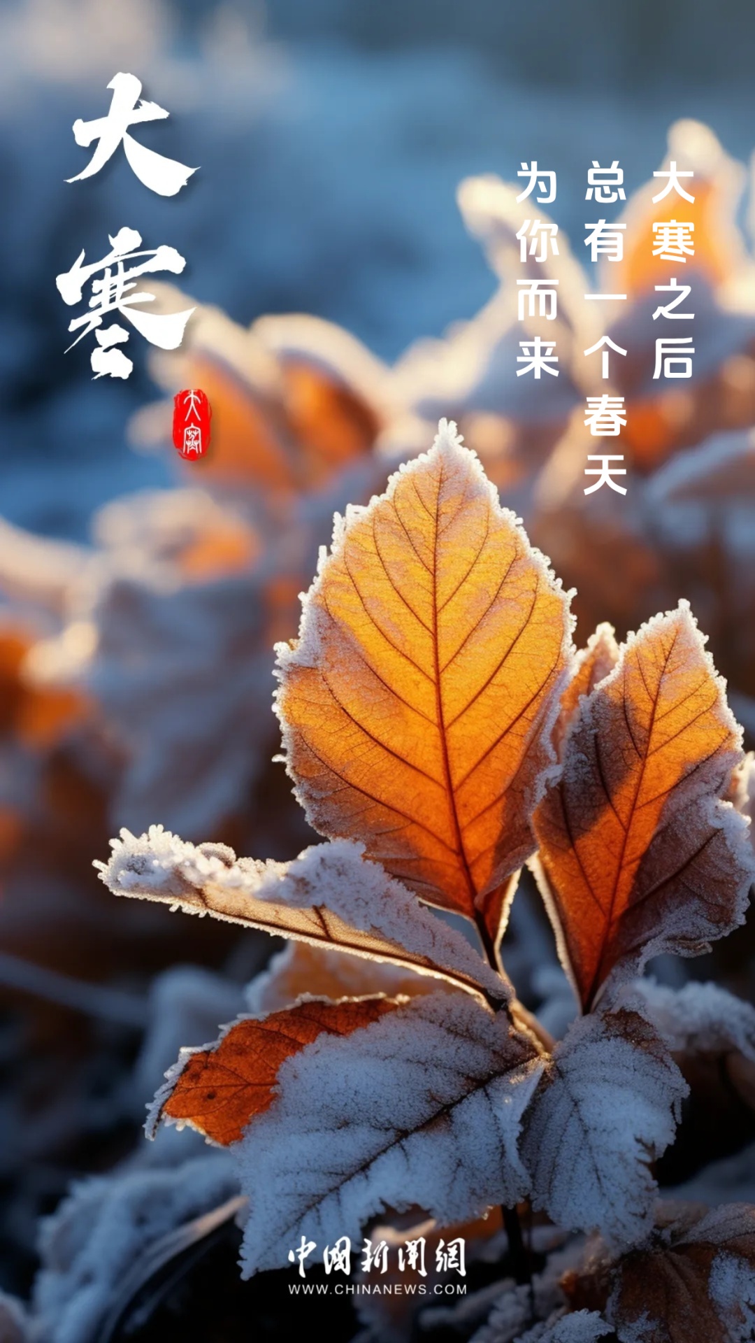 一年终章，至此轮回