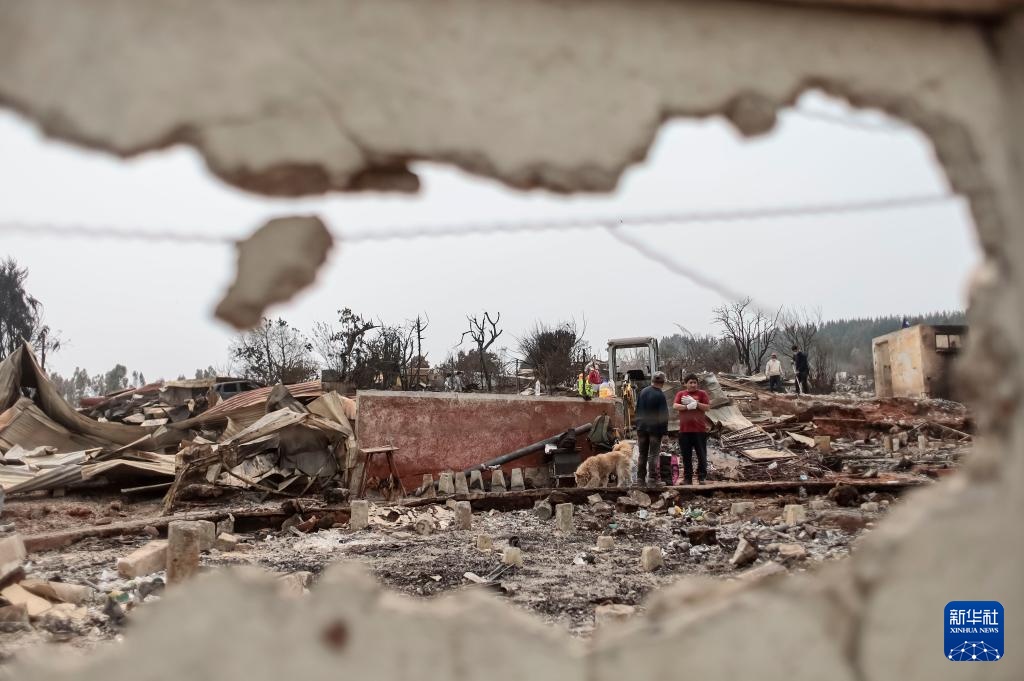 智利：森林火灾过后的遍地焦土
