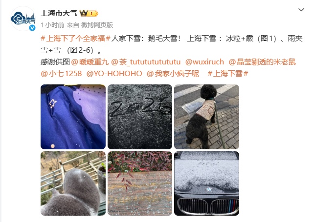 上海全城追雪！朋友圈和校园里彻底沸腾！零下6℃要来了，赏雪打卡还有机会