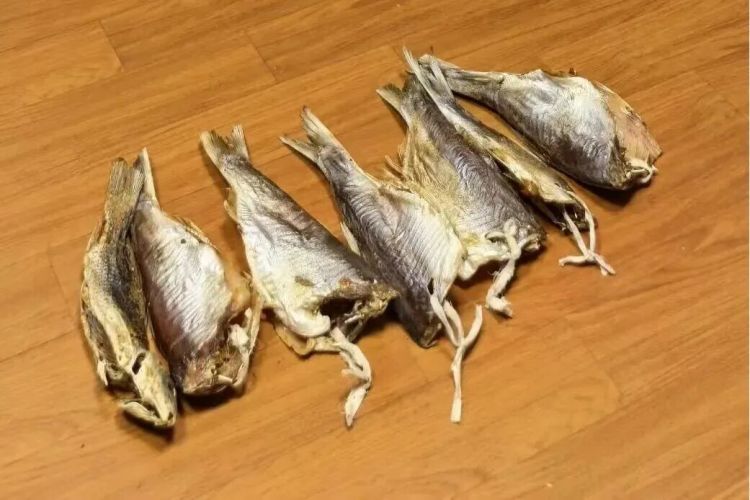 一夜间消失！兄弟俩狂搬100斤，原因让人无语……上海警方：刑拘！