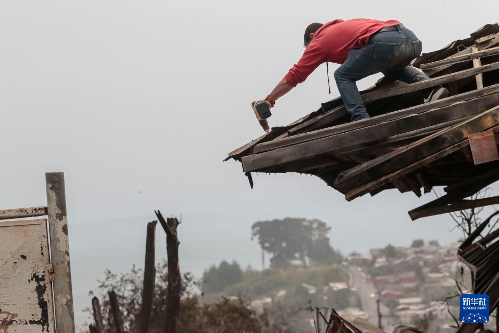 智利：森林火灾过后的遍地焦土