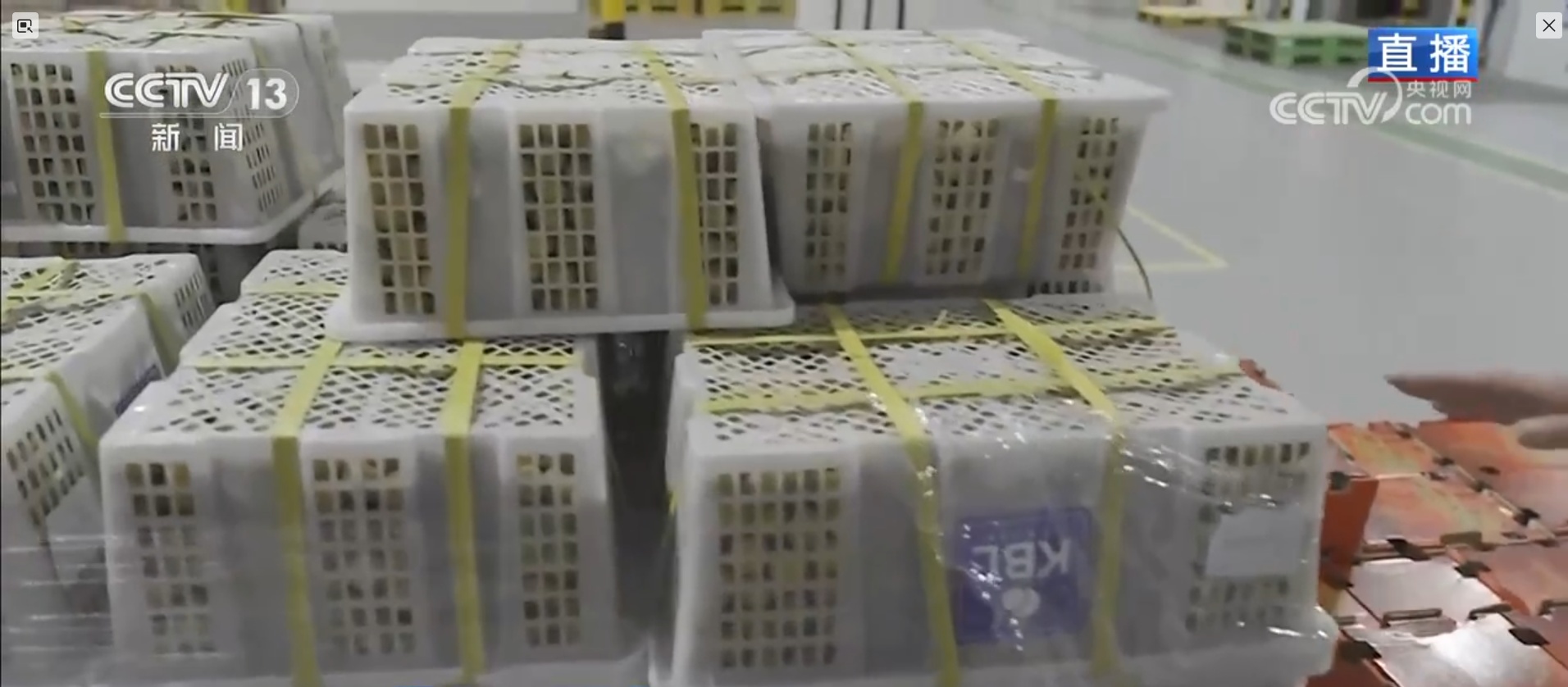 “十五五”开好局起好步 | 陆海新通道+中欧班列为全球生鲜打造中国“快车道”