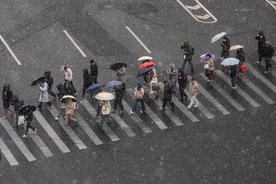 上海全城追雪！朋友圈和校园里彻底沸腾！零下6℃要来了，赏雪打卡还有机会