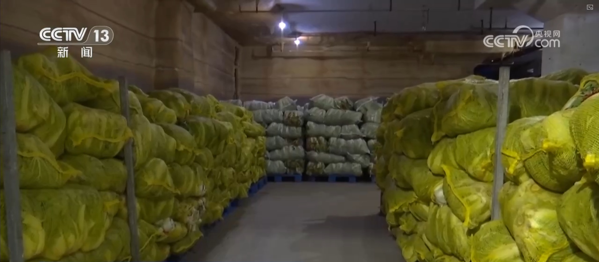 多措并举应对寒潮低温天气 各地保障蔬菜生产守护百姓“菜篮子”