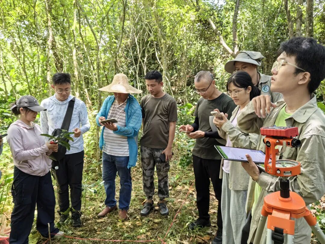 3101种、3927份！海南“植物家底”大公开→
