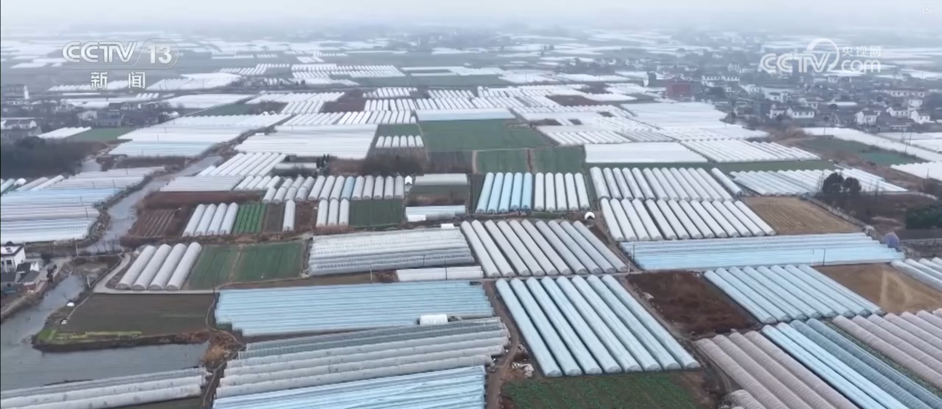 多措并举应对寒潮低温天气 各地保障蔬菜生产守护百姓“菜篮子”