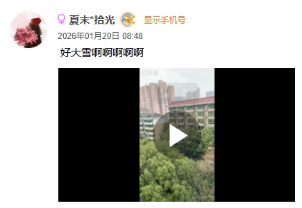 刚刚等到了！西湖下雪了！越下越大！还在继续