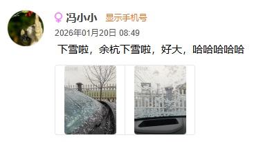 刚刚等到了！西湖下雪了！越下越大！还在继续