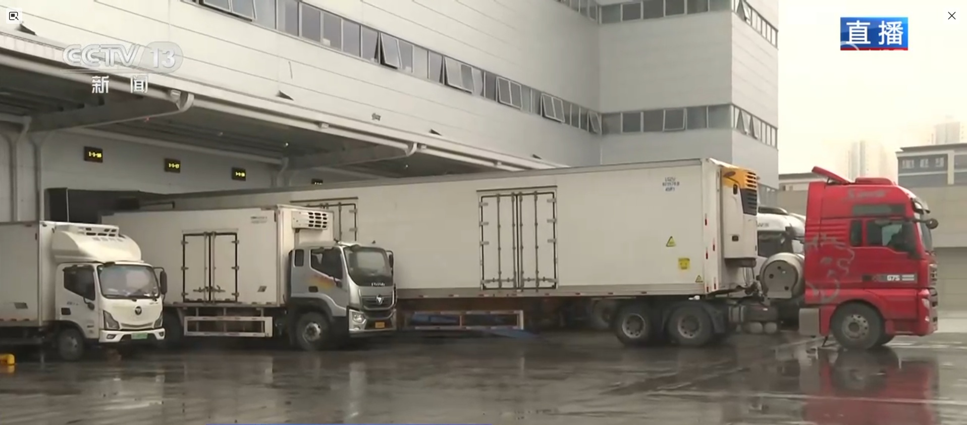 “十五五”开好局起好步 | 陆海新通道+中欧班列为全球生鲜打造中国“快车道”