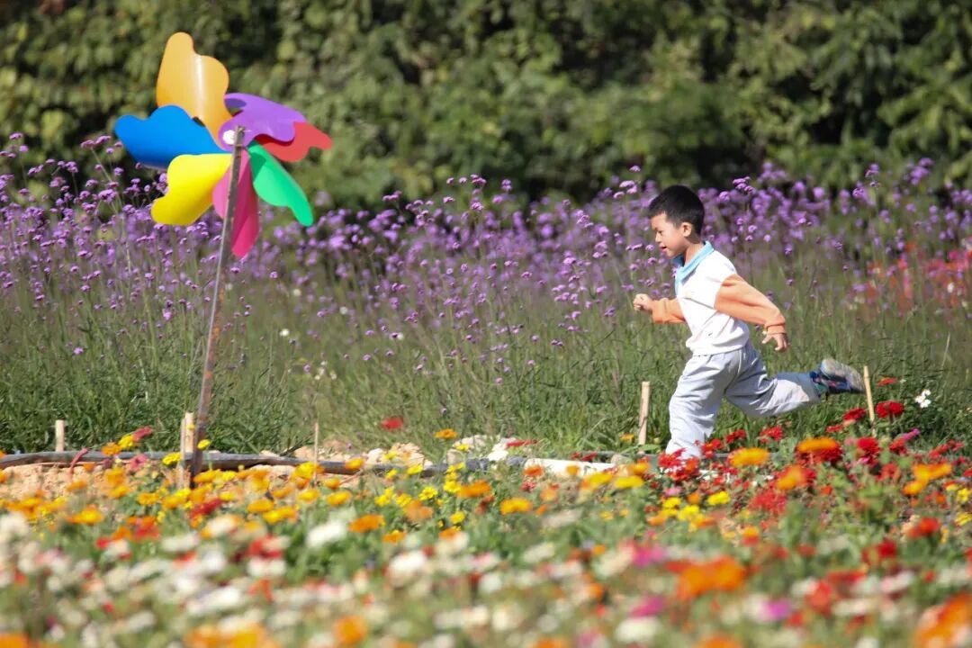 今日大寒：冬将尽，春可期