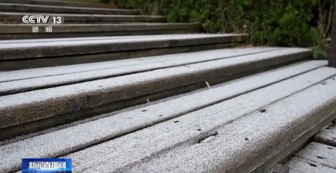 强降温、雨雪、冰冻天气进入本轮寒潮影响最强时段，将影响这些地区！济南天气预报→