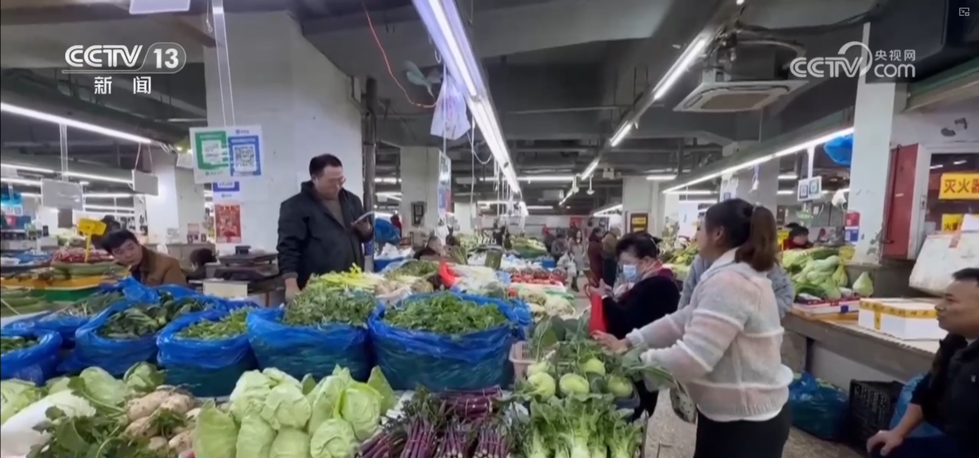 多措并举应对寒潮低温天气 各地保障蔬菜生产守护百姓“菜篮子”