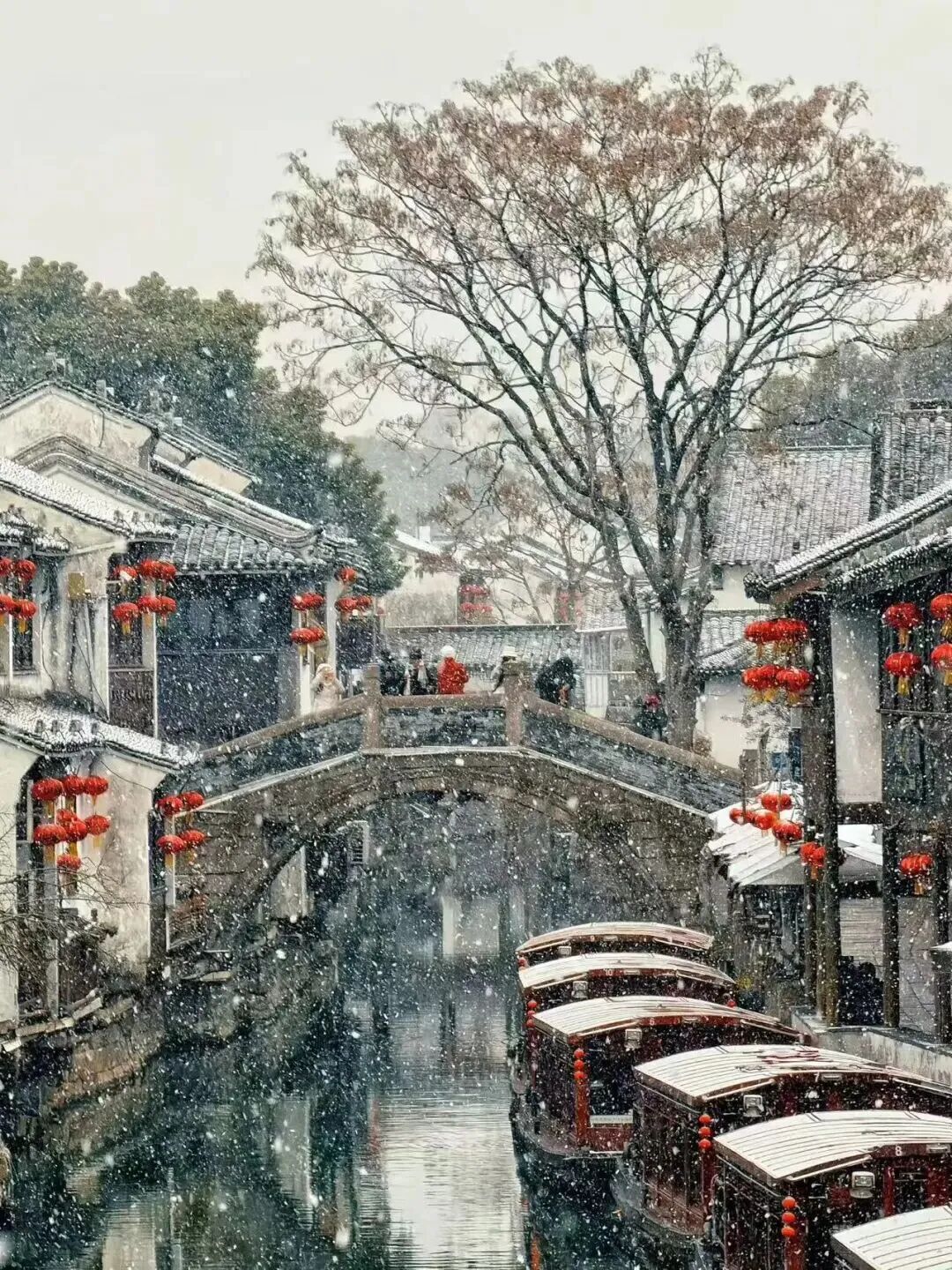 苏州停雪时间定了！