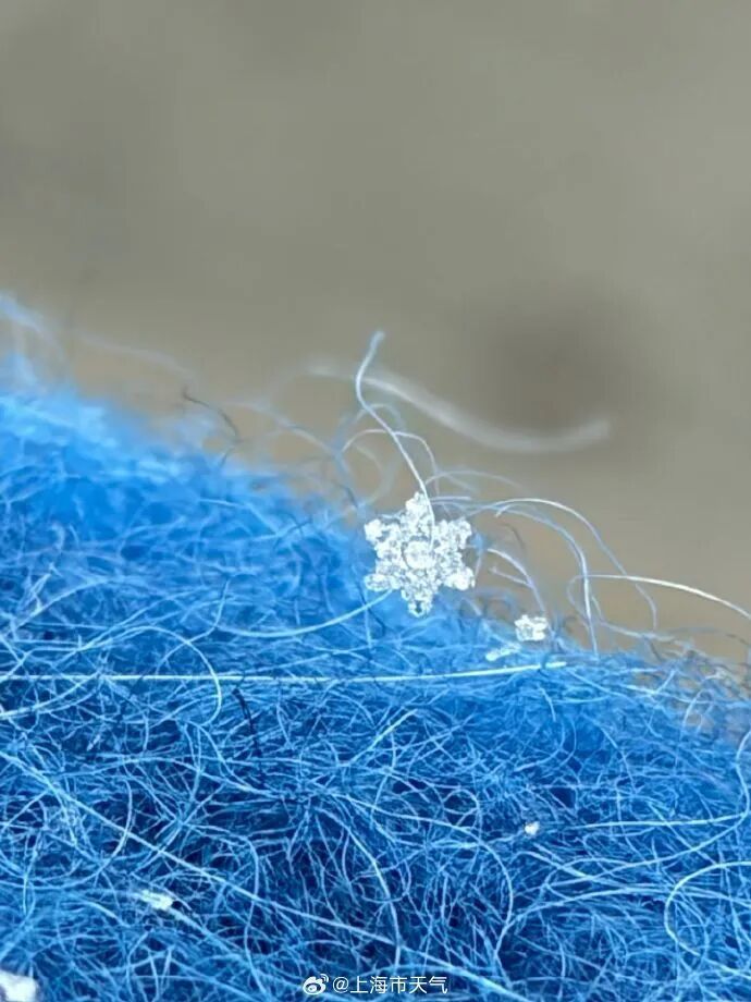 上海全城追雪！朋友圈和校园里彻底沸腾！零下6℃要来了，赏雪打卡还有机会