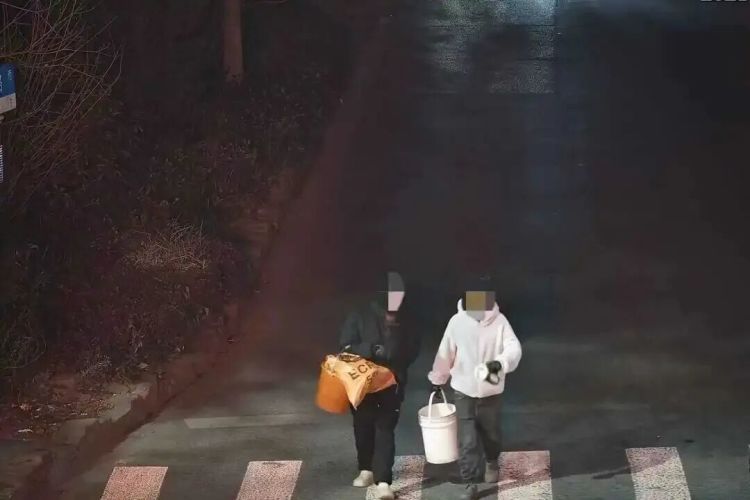 一夜间消失！兄弟俩狂搬100斤，原因让人无语……上海警方：刑拘！