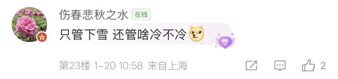 零下6℃要来了！上海还有雪吗？气象台：准备迎接最冷时刻