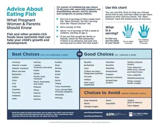 吃鱼头、鱼皮等于吃毒药？真相并非如此