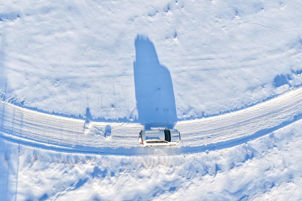 她们，绽放在中国冷极