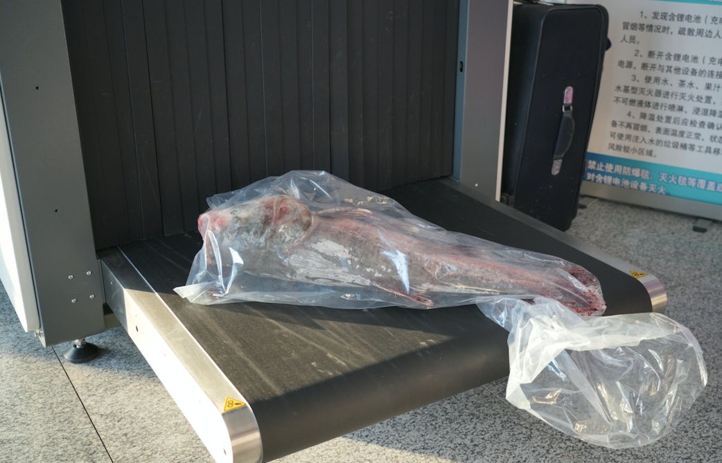 等等！安检仪里刚刚过去了啥？