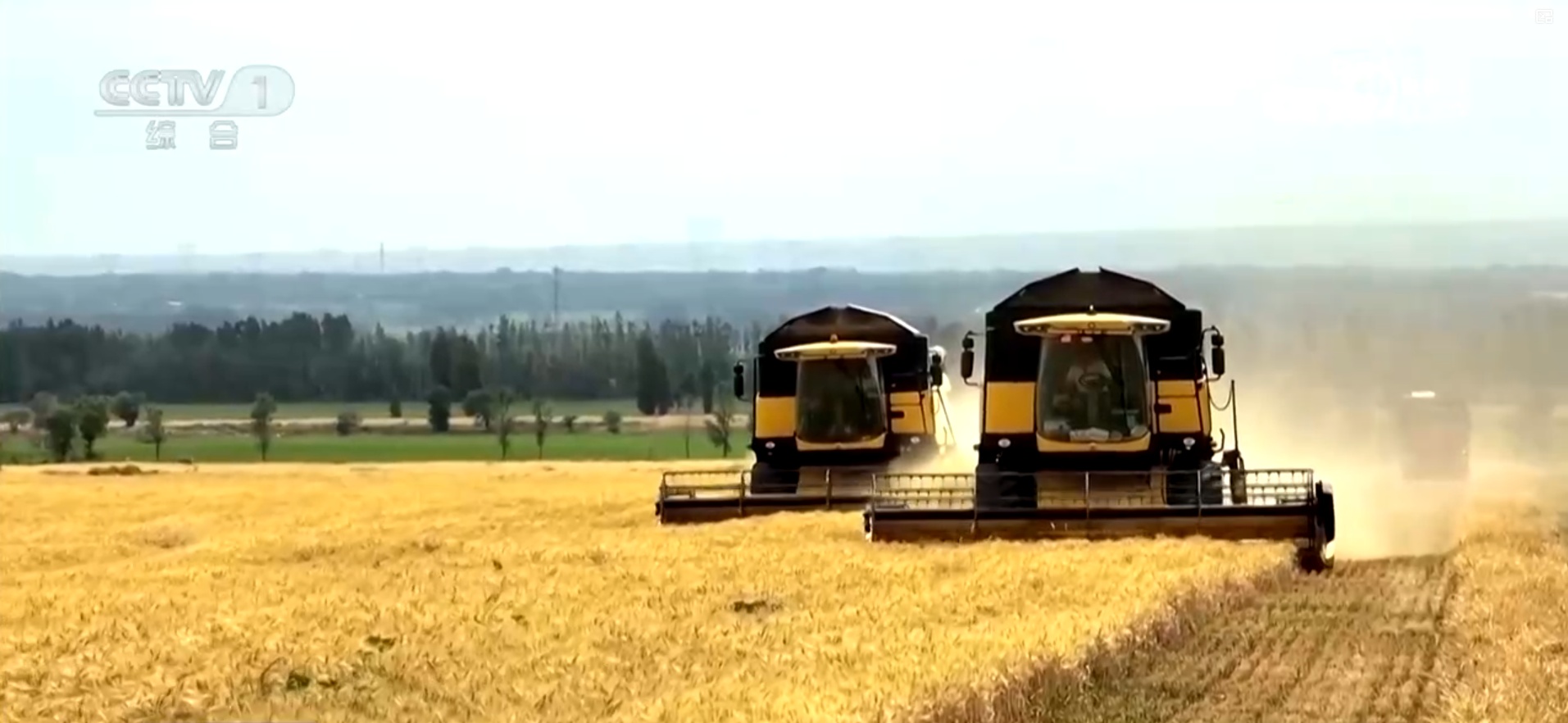 顶压前行、向新向优！透过7组重磅数据读懂2025年国民经济亮眼“成绩单”