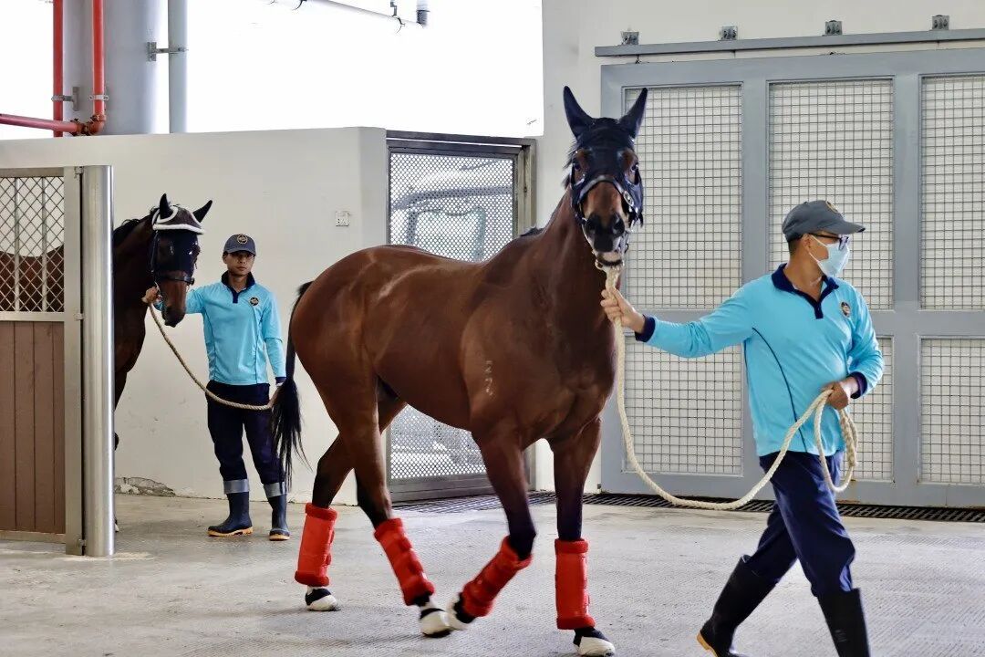 “猫山王”7小时到广州、车厘子2小时到市场......广州外贸何以再创新高？