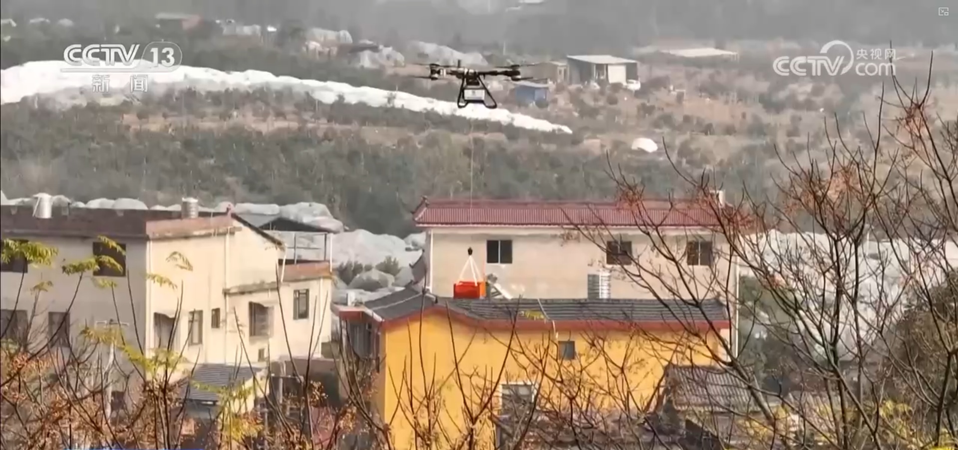 打通从枝头到网点“最初一公里” 智慧物流“东风”助力年货“鲜”达餐桌